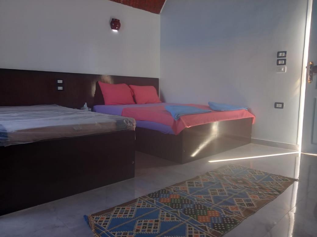 Kafana Guest House Nile View Асуан Екстериор снимка